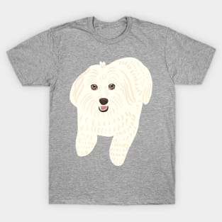 Fluffy Maltipoo T-Shirt